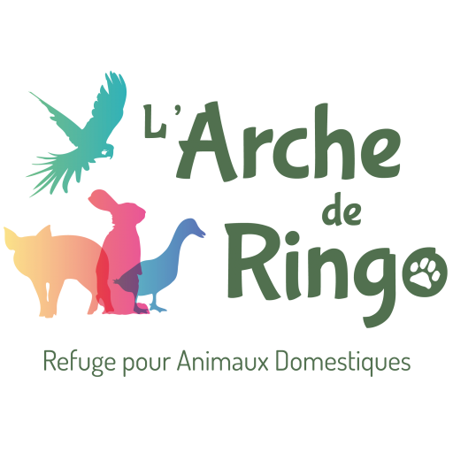 Logo du Refuge Arche de Ringo
